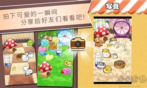 仓鼠的生活游戏