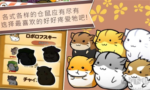 仓鼠的生活游戏